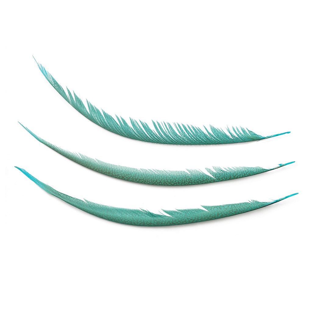 Golden Pheasant Center Tails Dyed Silver Dunn Blue