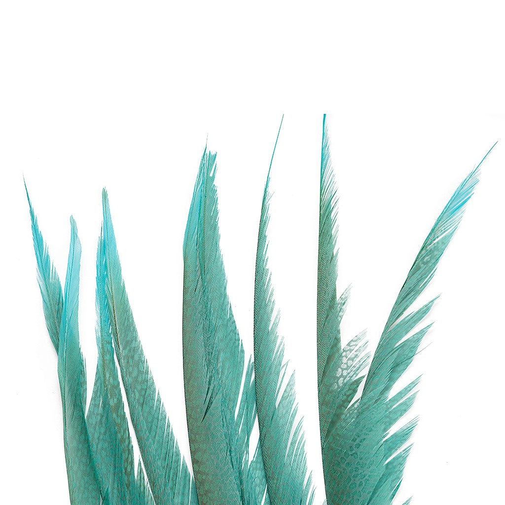 Golden Pheasant Center Tails Dyed Silver Dunn Blue