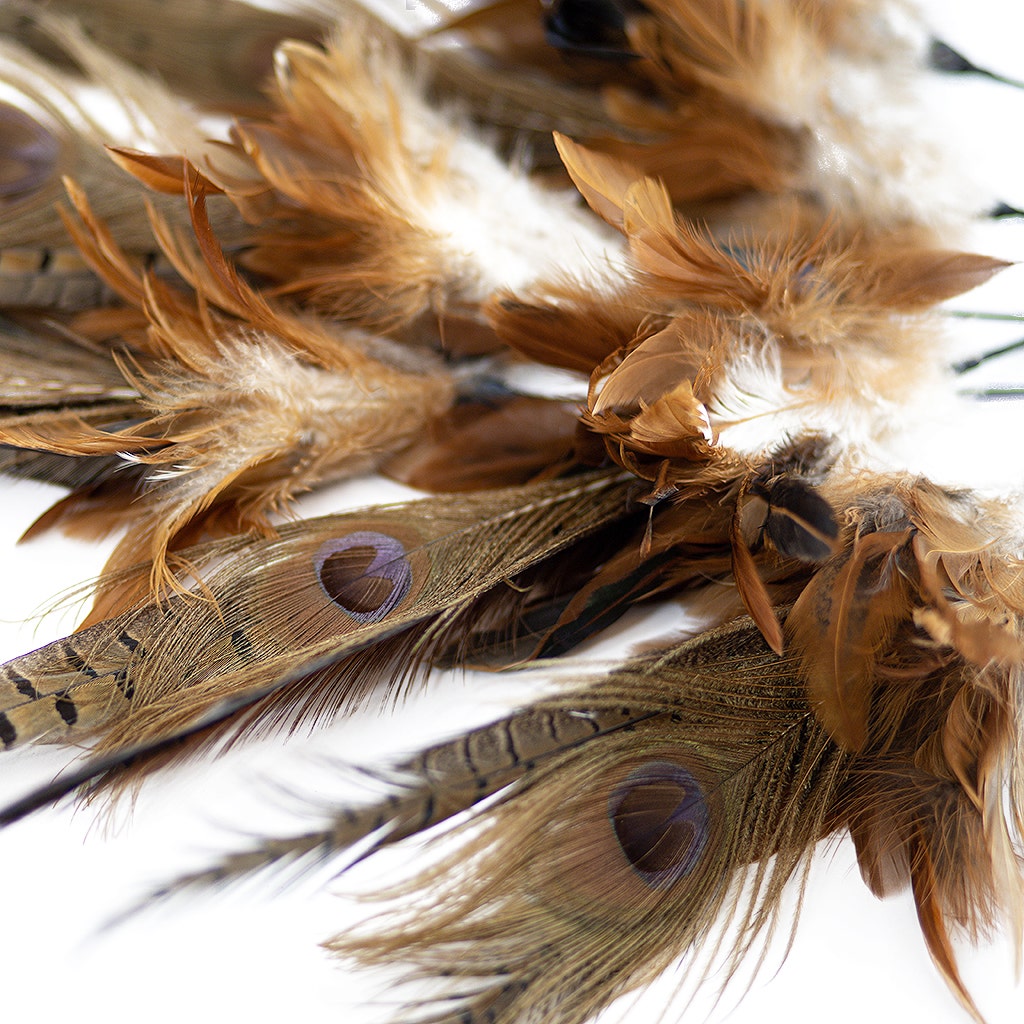 Feather Floral Stem - Pheasant - Peacock - Golden - Iridiscent - Natural - 12"