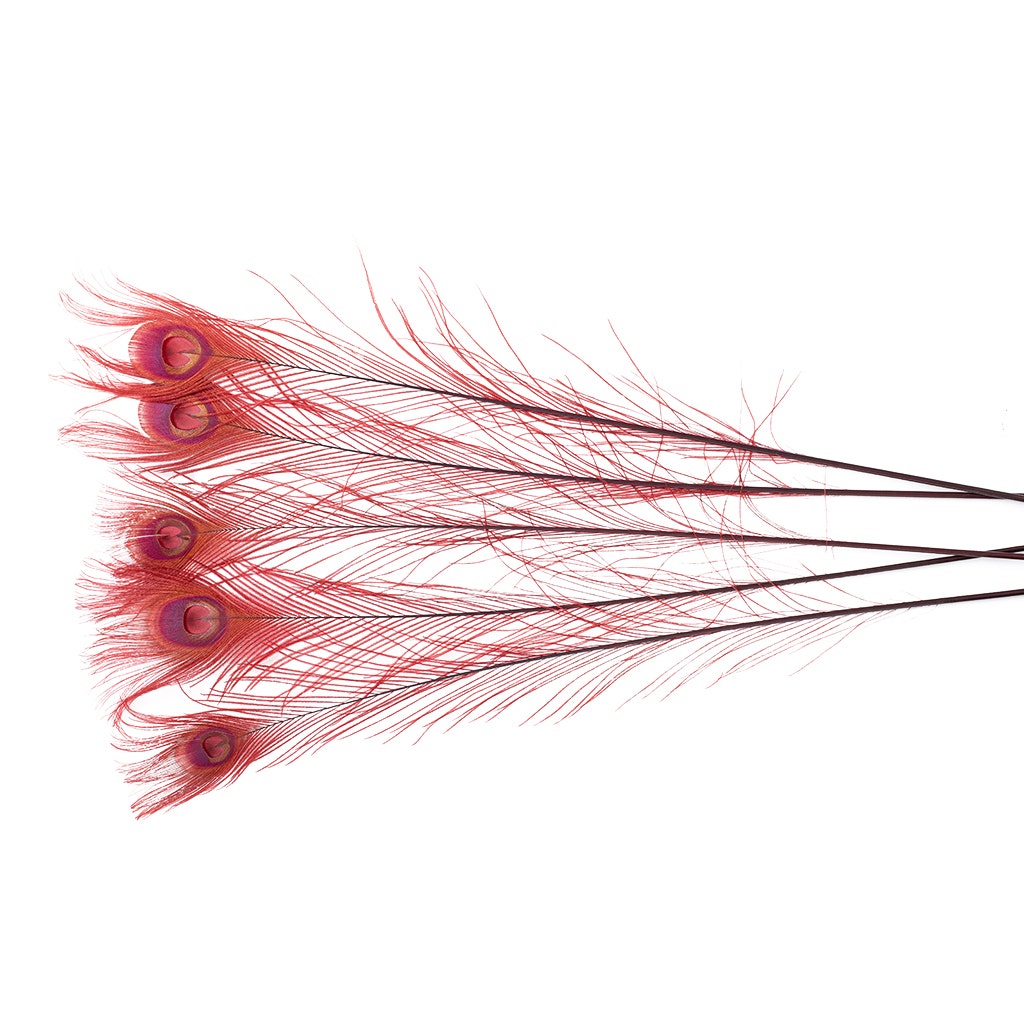 Peacock Eyes Bleached/Dyed - Burgundy - 30-40" - 10 pc