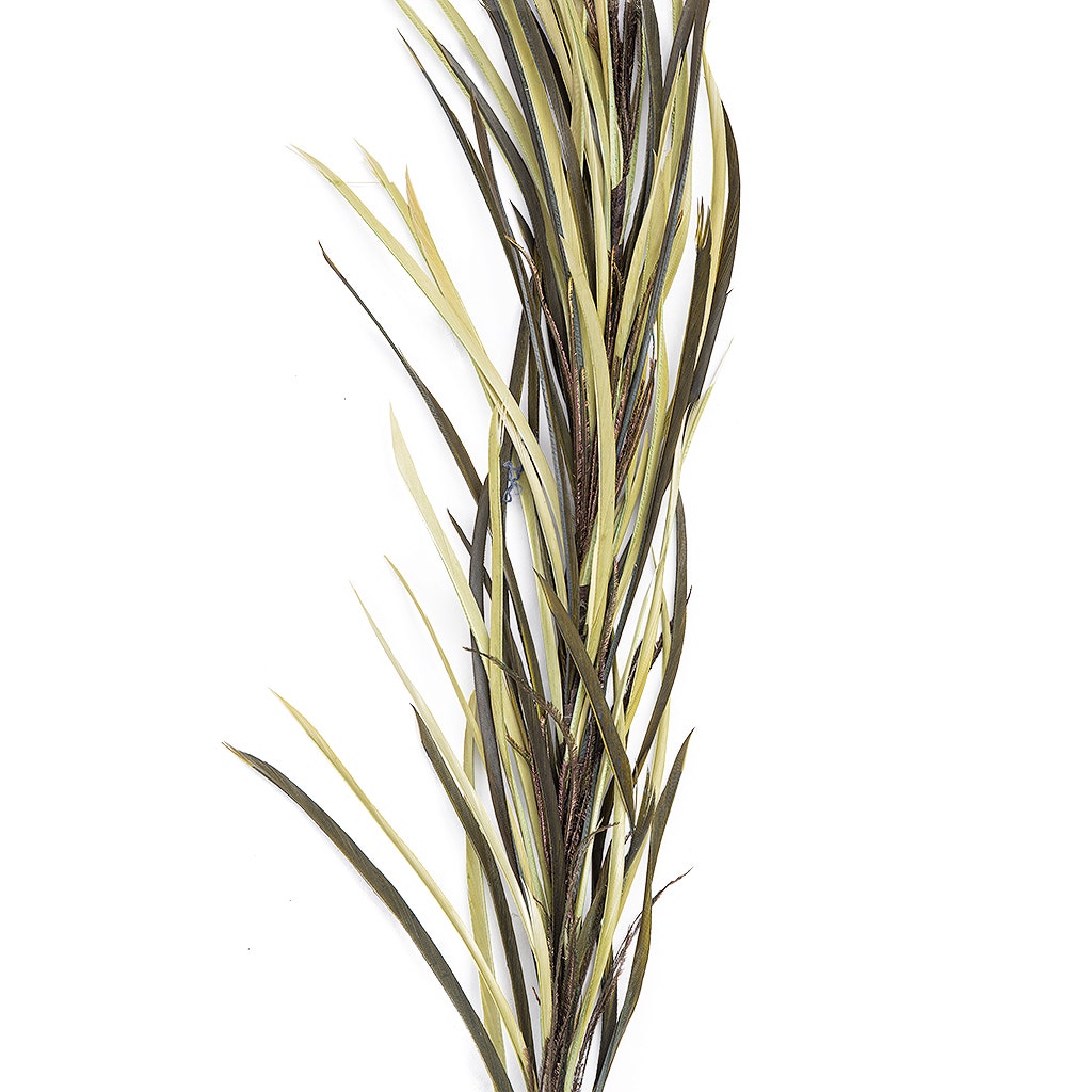 Feather Floral Stem w/Goose Biot - CD/MO/N