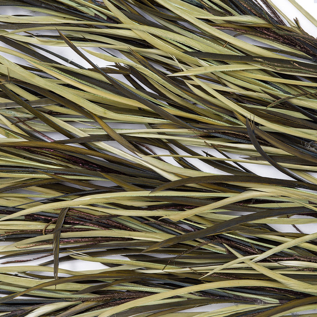 Feather Floral Stem w/Goose Biot - CD/MO/N