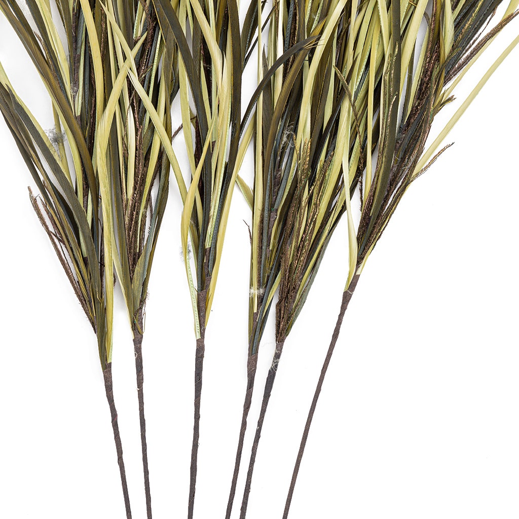 Feather Floral Stem w/Goose Biot - CD/MO/N