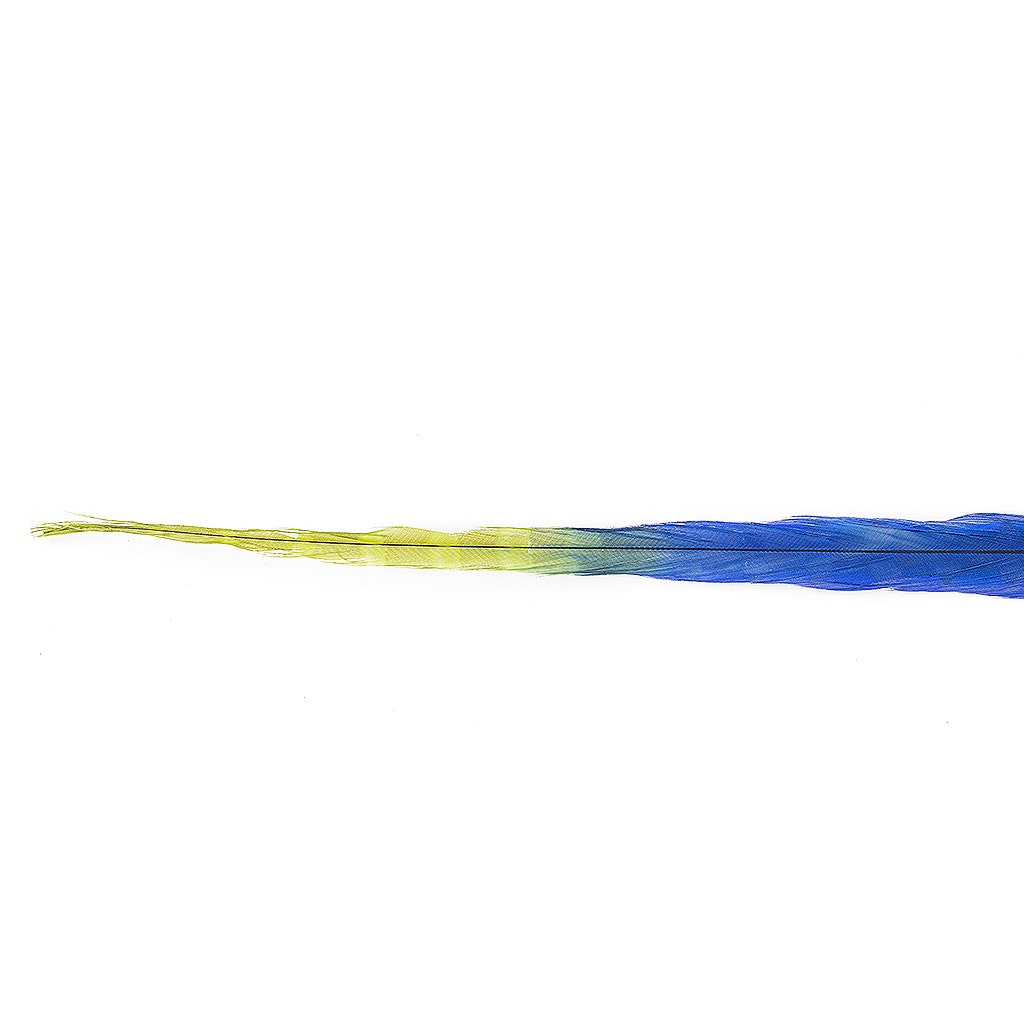 Ringneck Pheasant Tails Bleached/Dyed & Tipped Royal Blue / Lime Green - 20-24 Inch - 5 PCS