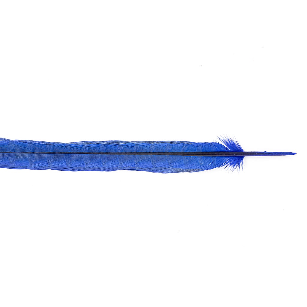 Ringneck Pheasant Tails Bleached/Dyed & Tipped Royal Blue / Lime Green - 20-24 Inch - 5 PCS