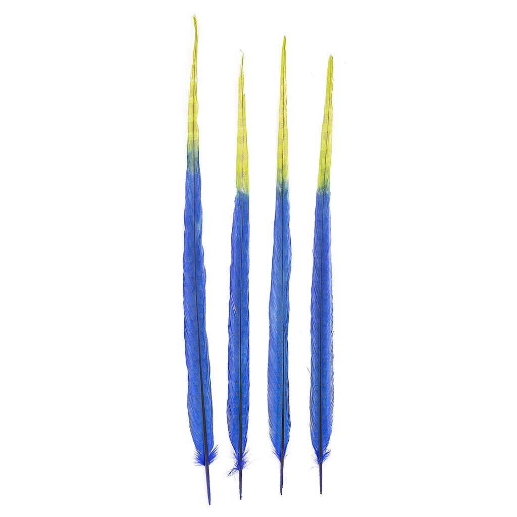 Ringneck Pheasant Tails Bleached/Dyed & Tipped Royal Blue / Lime Green - 20-24 Inch - 5 PCS