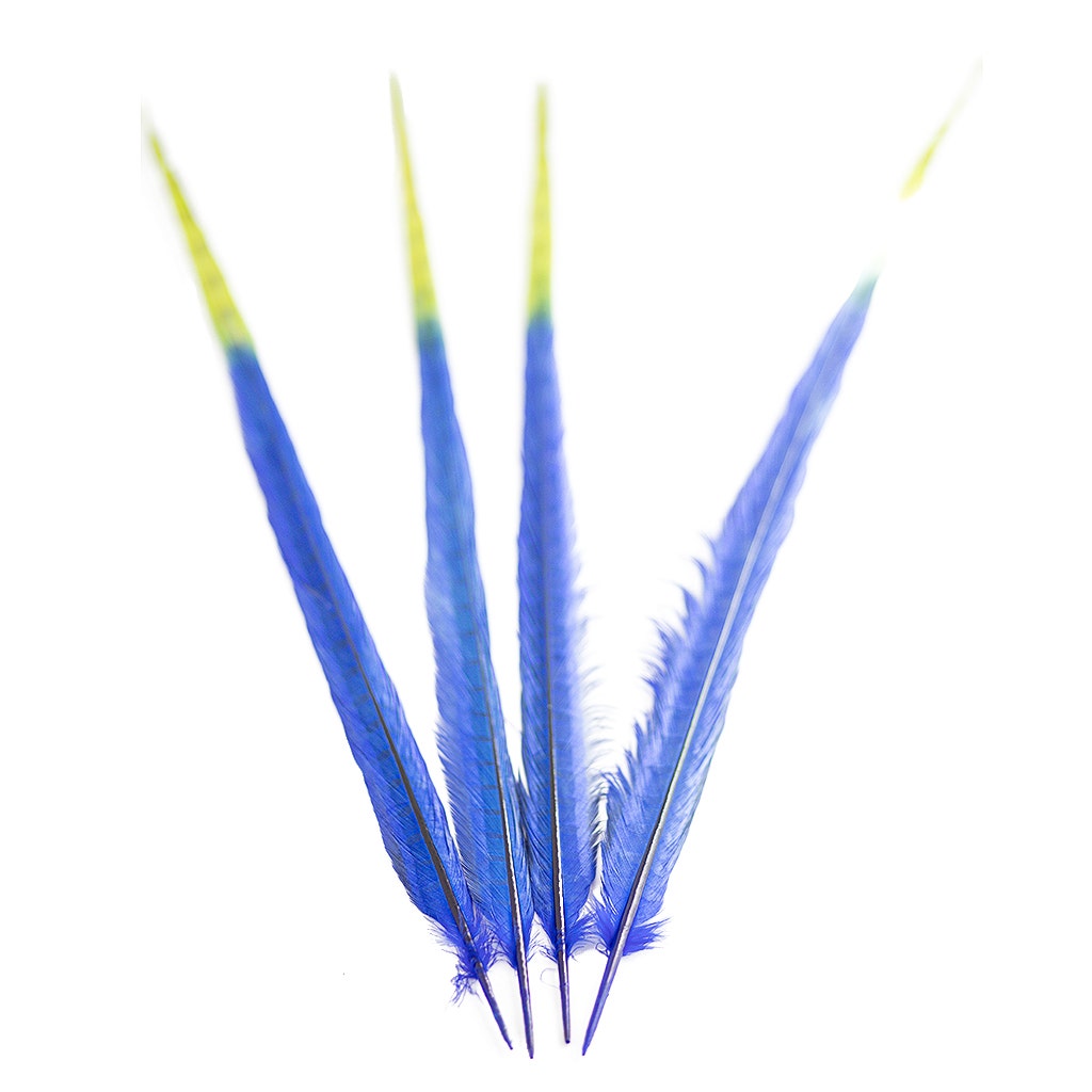 Ringneck Pheasant Tails Bleached/Dyed & Tipped Royal Blue / Lime Green - 20-24 Inch - 5 PCS