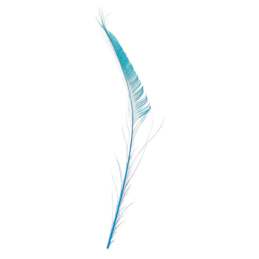 Peacock Swords Bleached/Dyed - Dark Turquoise
