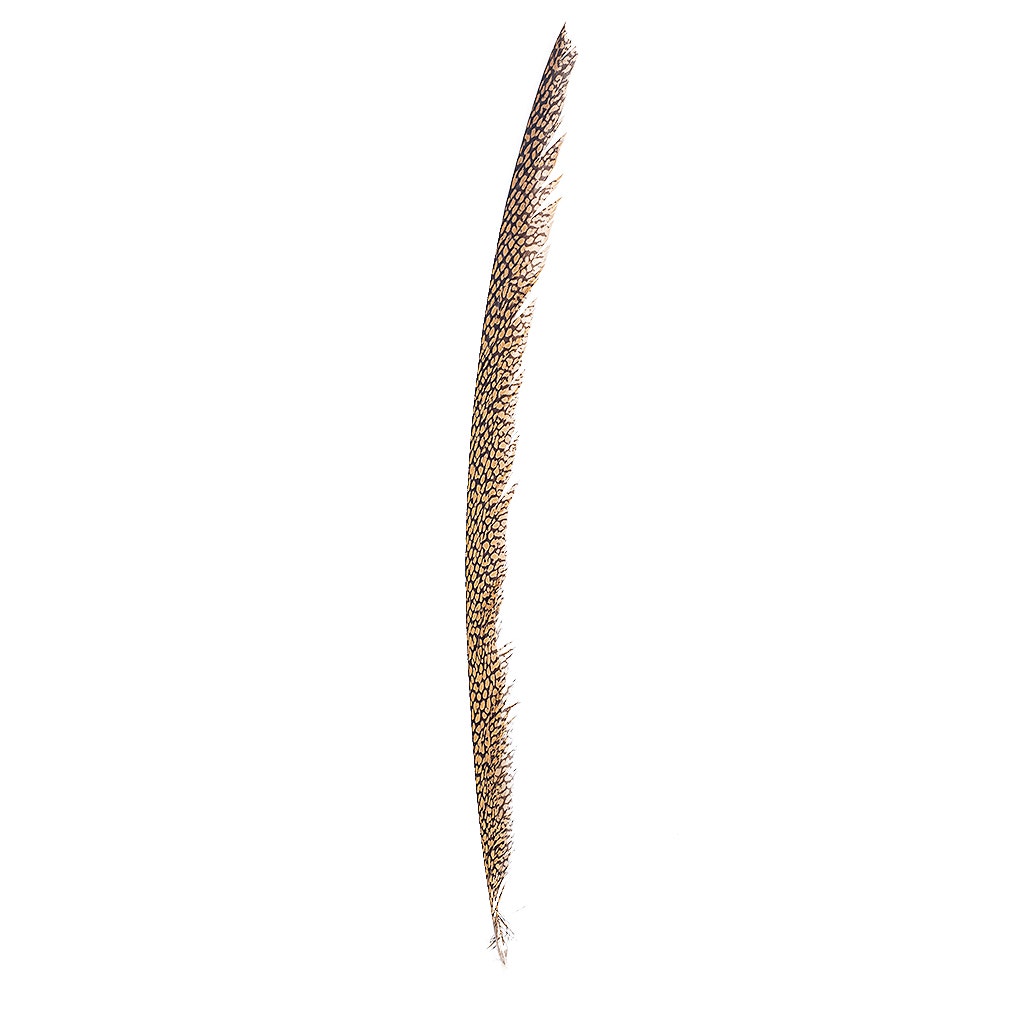 Natural Golden Pheasant Tail Center Feathers, 20 inches & up, 100 pieces, 1st Quality Feathers