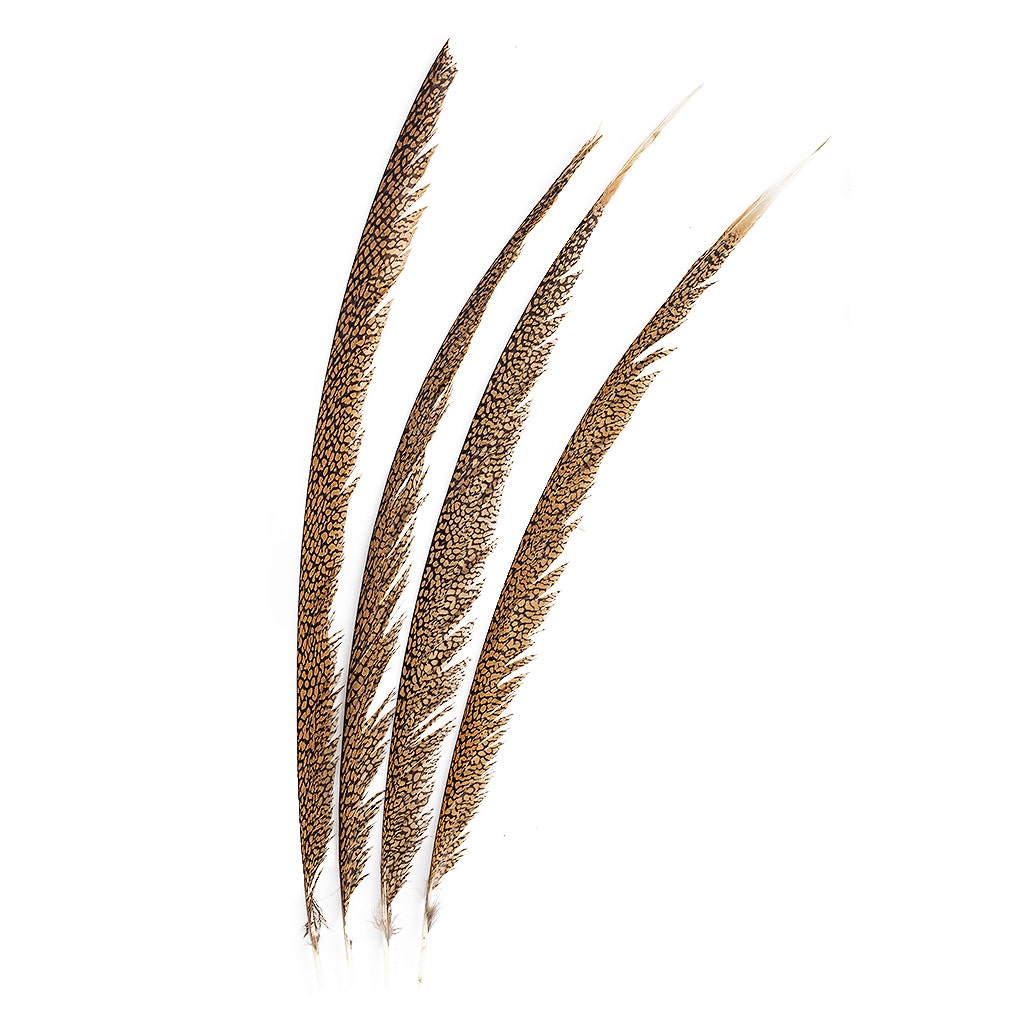 Natural Golden Pheasant Tail Center Feathers, 20 inches & up, 100 pieces, 1st Quality Feathers