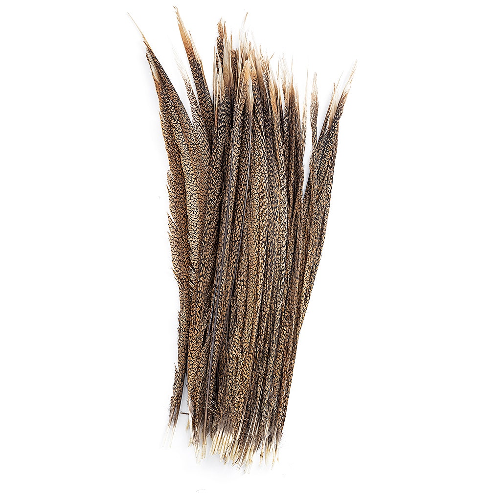 Natural Golden Pheasant Tail Center Feathers, 20 inches & up, 100 pieces, 1st Quality Feathers