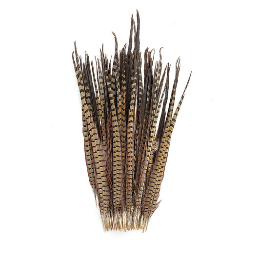 Ringneck Pheasant Tails - Natural - 20 - 24"  (100pcs)