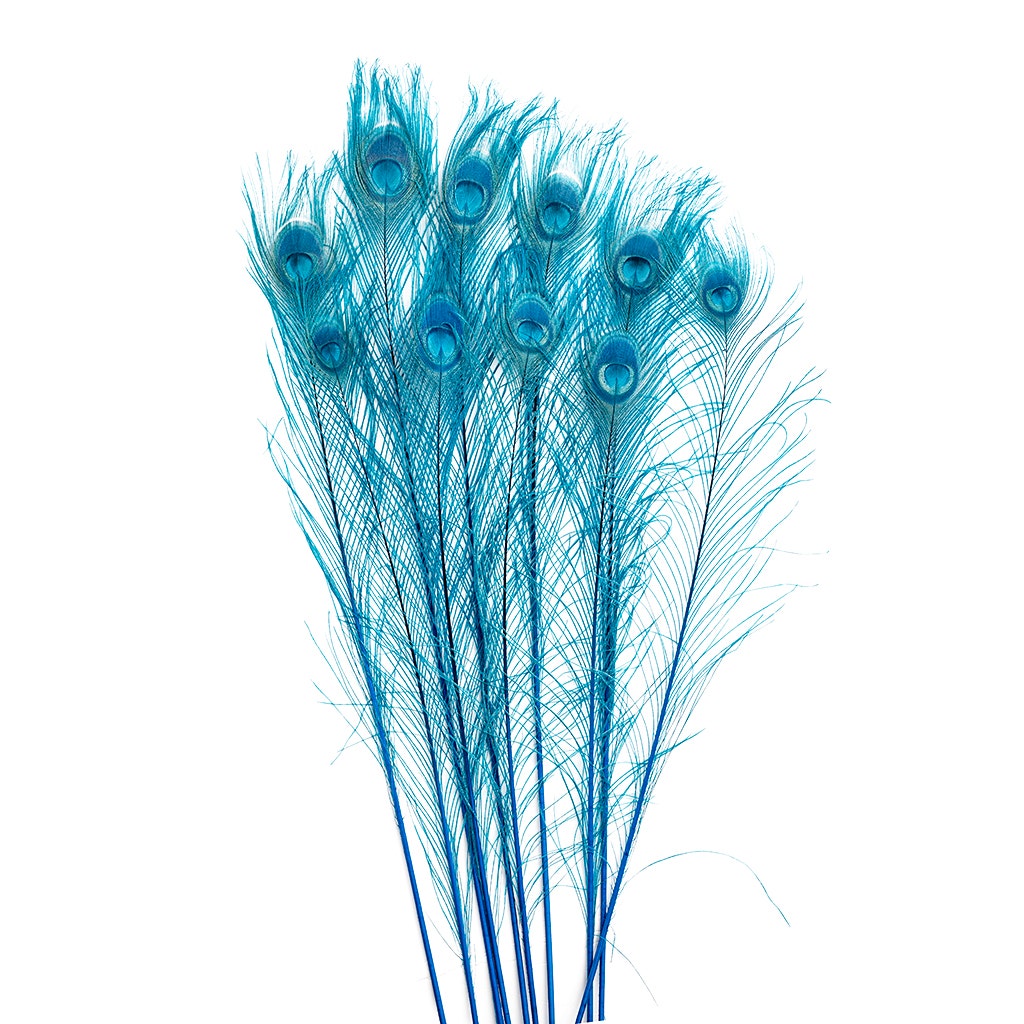 Peacock Eyes Bleached/Dyed - Dark Turquoise 30-40" - 10 PC