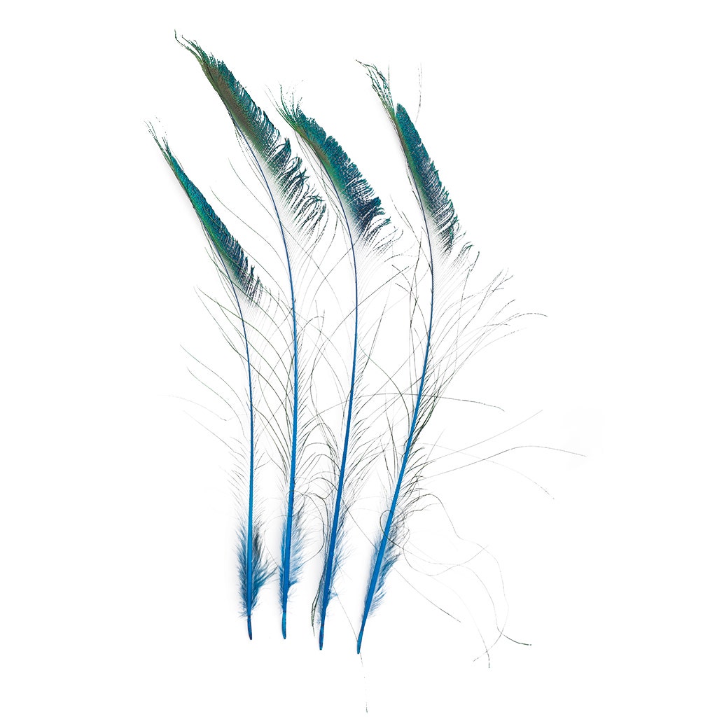 Peacock Sword 15-25" Stem Dyed 10 pc/pkg - Dark Turquoise