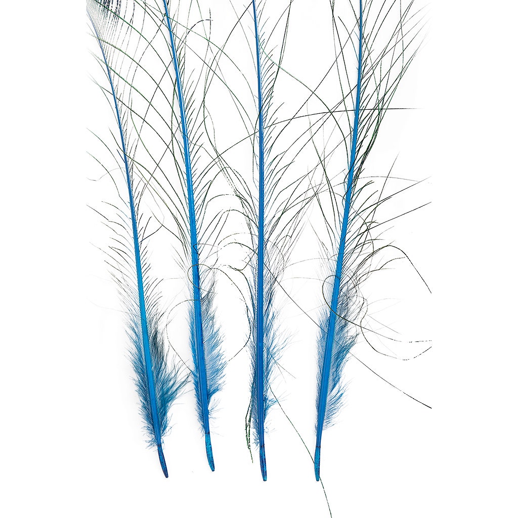 Peacock Sword 15-25" Stem Dyed 10 pc/pkg - Dark Turquoise
