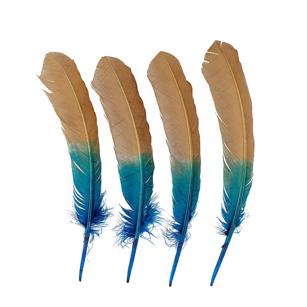 Bulk Two Tone Ombre Tipped Turkey Round Feathers Left Wing - 10-12” - 1/4 lb - Dark Turqouise/Camel