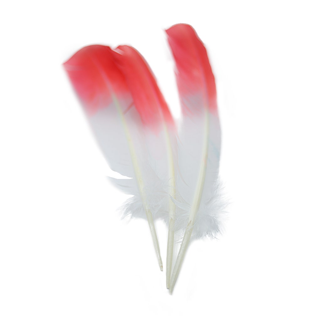 Bulk Two Tone Ombre Tipped Turkey Round Feathers Left Wing - 10-12” - 1/4 lb - Coral/White