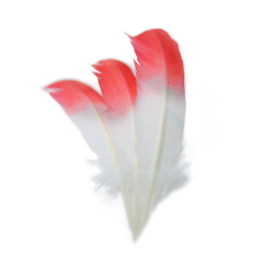 Bulk Two Tone Ombre Tipped Turkey Round Feathers Left Wing - 10-12” - 1/4 lb - Coral/White