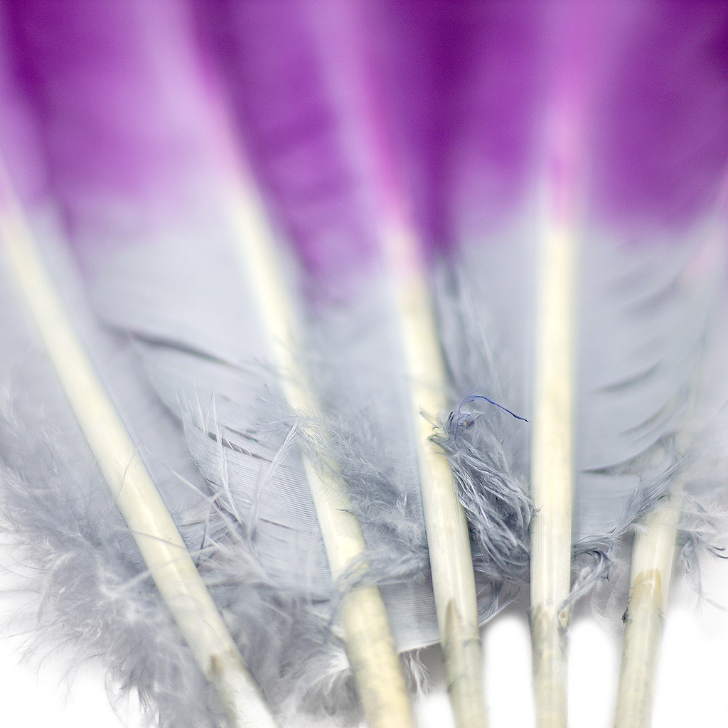 Ombre Turkey Quill 10-12" Left Wing Tip Silver .25 lb - Amethyst