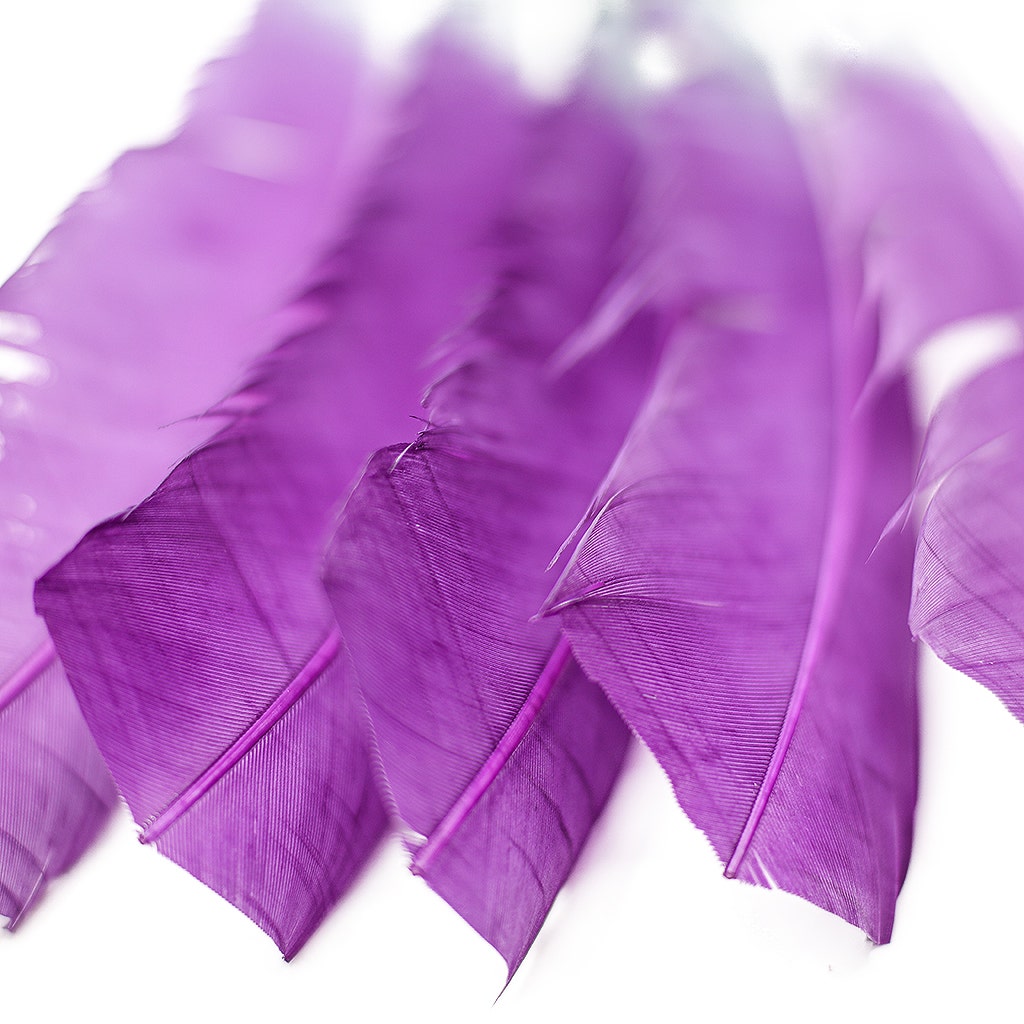 Ombre Turkey Quill 10-12" Left Wing Tip Silver .25 lb - Amethyst