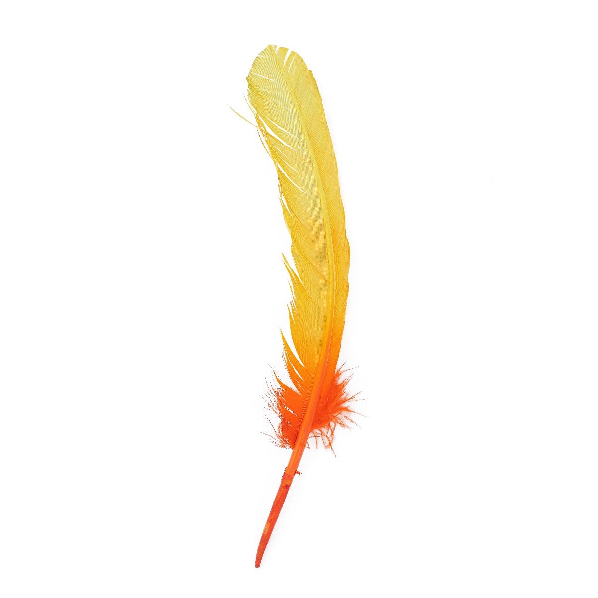 Ombré Turkey Quill Feathers 10-12” 2 pc- Gold - Orange