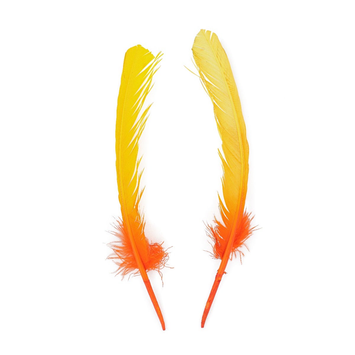 Ombré Turkey Quill Feathers 10-12” 2 pc- Gold - Orange