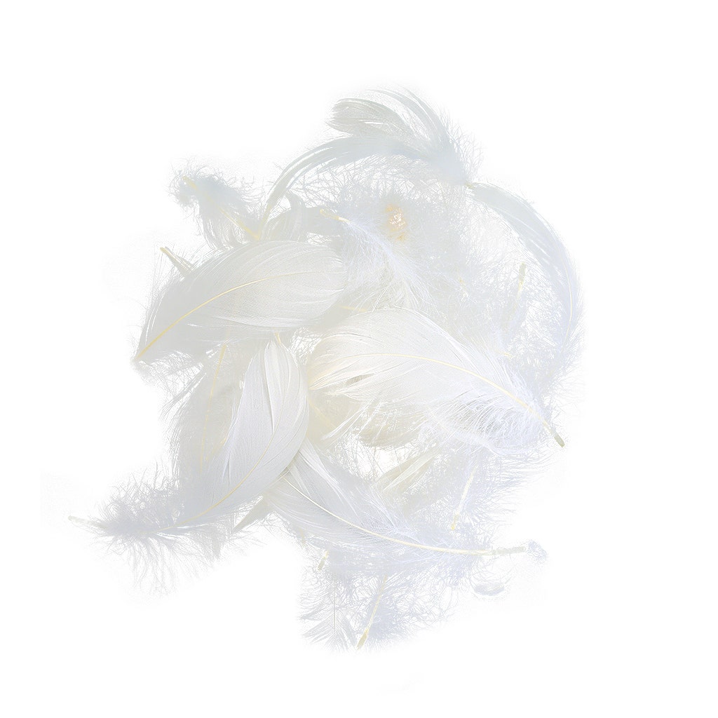 Loose Goose Coquille Dyed - White