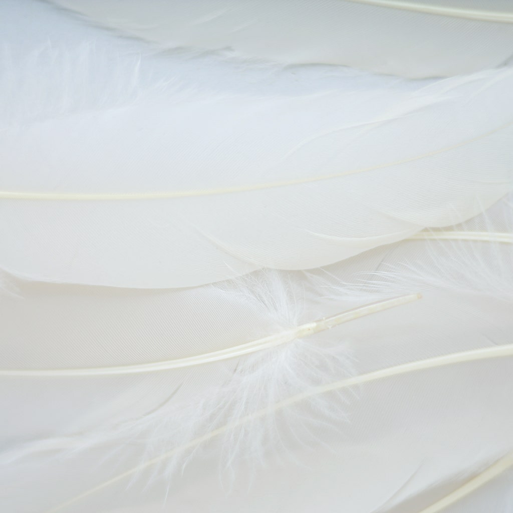 Loose Goose Satinettes Dyed - Ivory