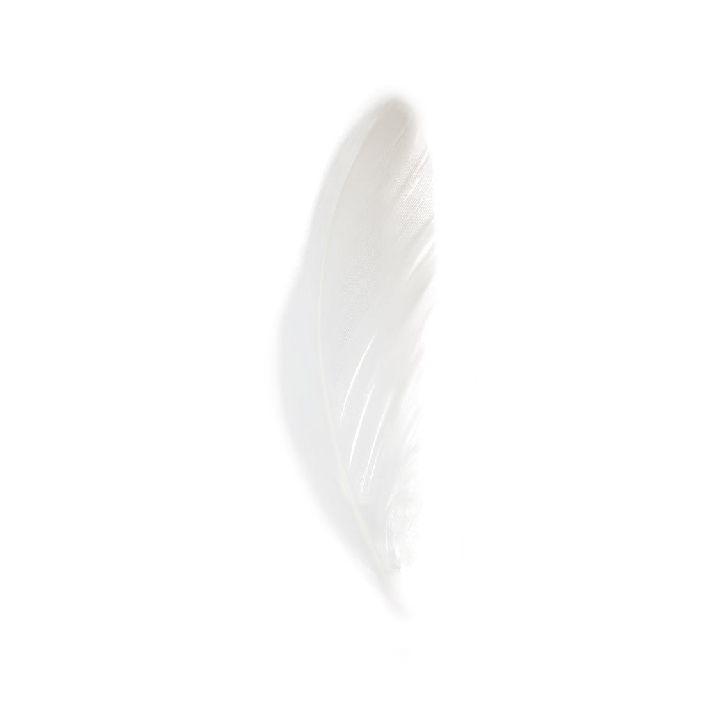 Loose Goose Coquille Dyed - White