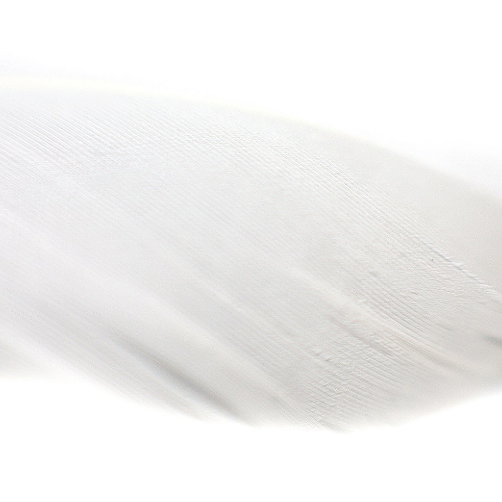 Loose Goose Coquille Dyed - White