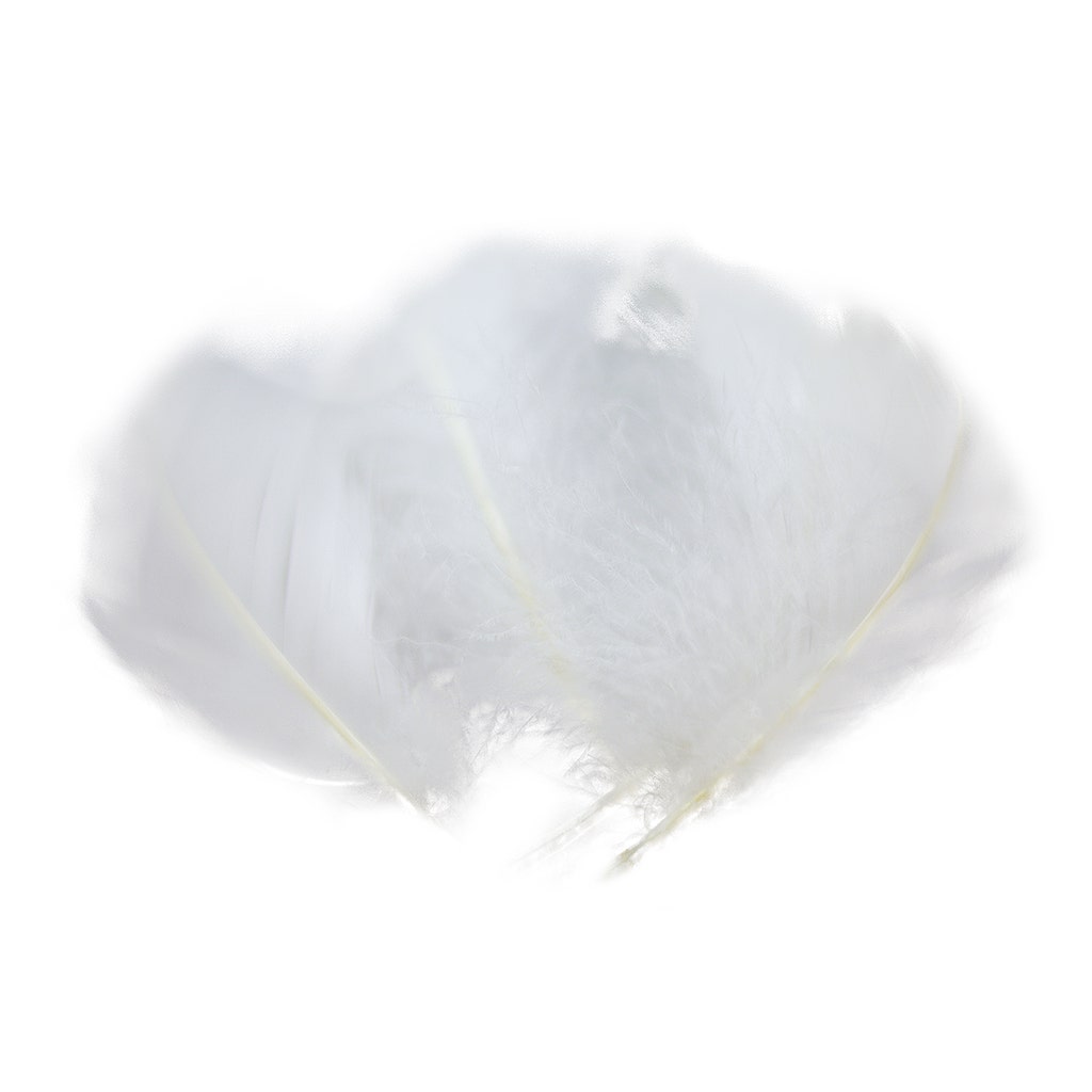 Loose Goose Coquille Dyed - White
