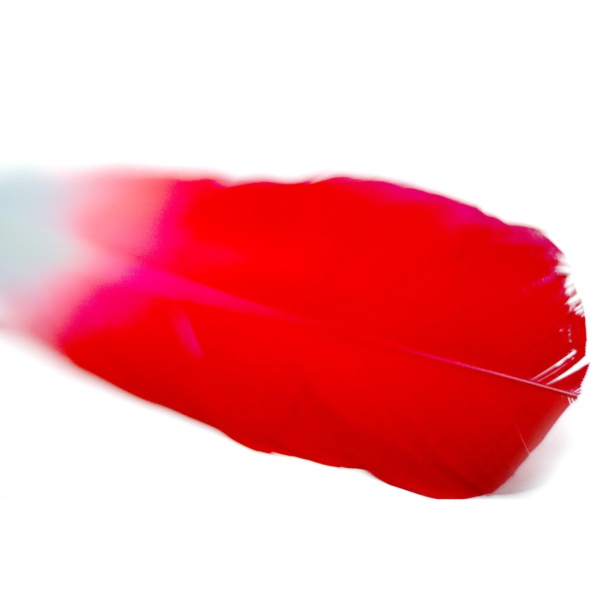 Ombré Turkey Quill Feathers 10-12” 2 pc - Coral/White