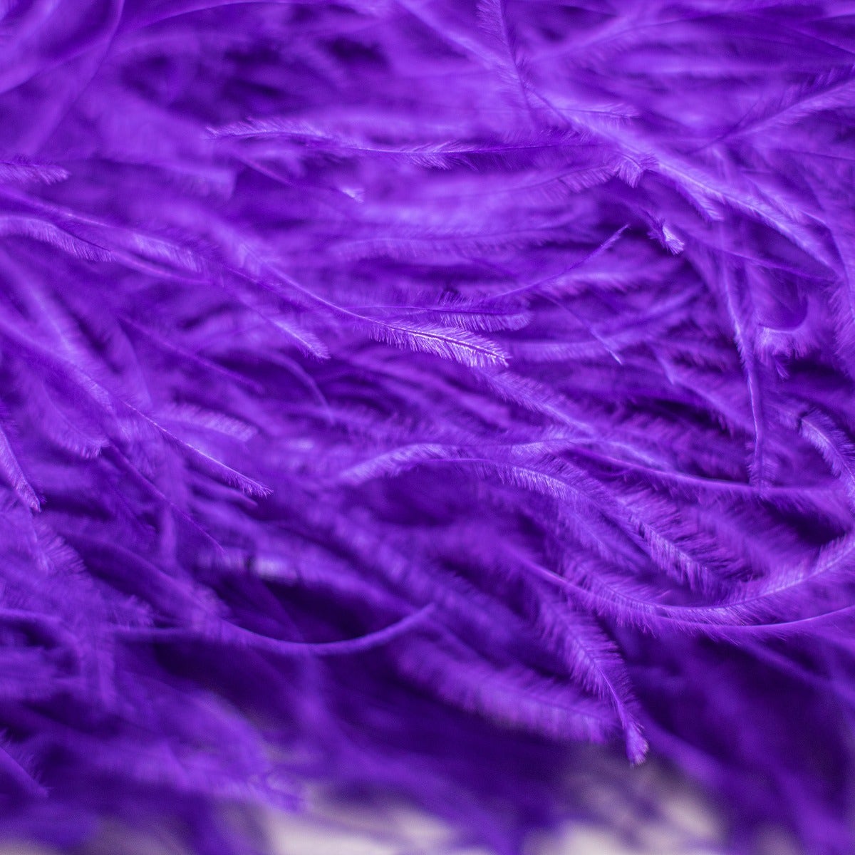 Regal Purple 3 Ply Ostrich Feather Boa