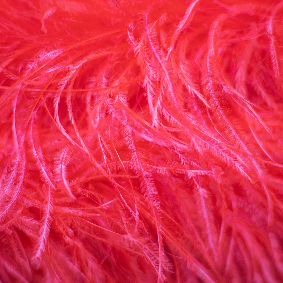 Red 3 Ply Ostrich Feather Boa