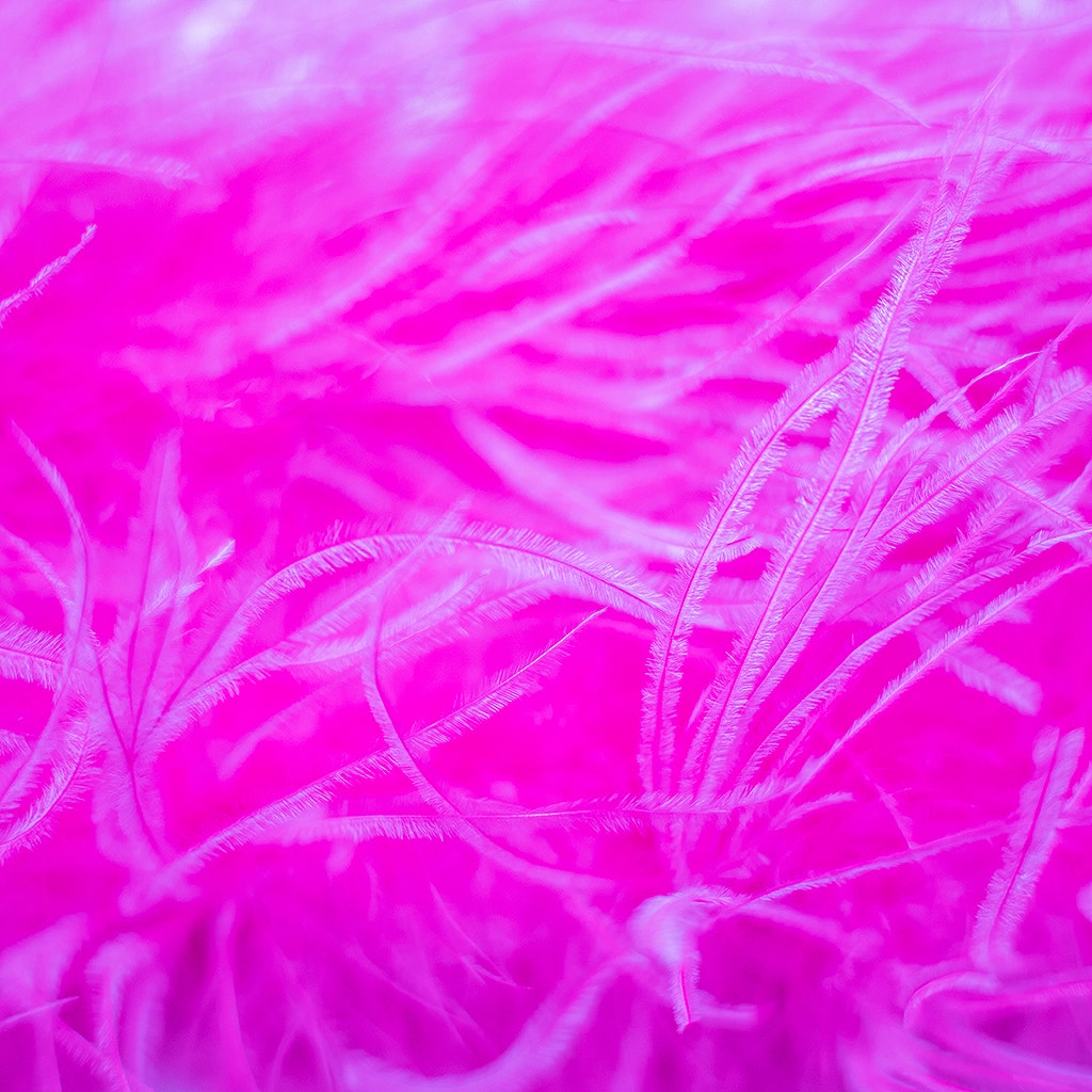 Shocking Hot Pink 2 Ply Ostrich Feather Boa