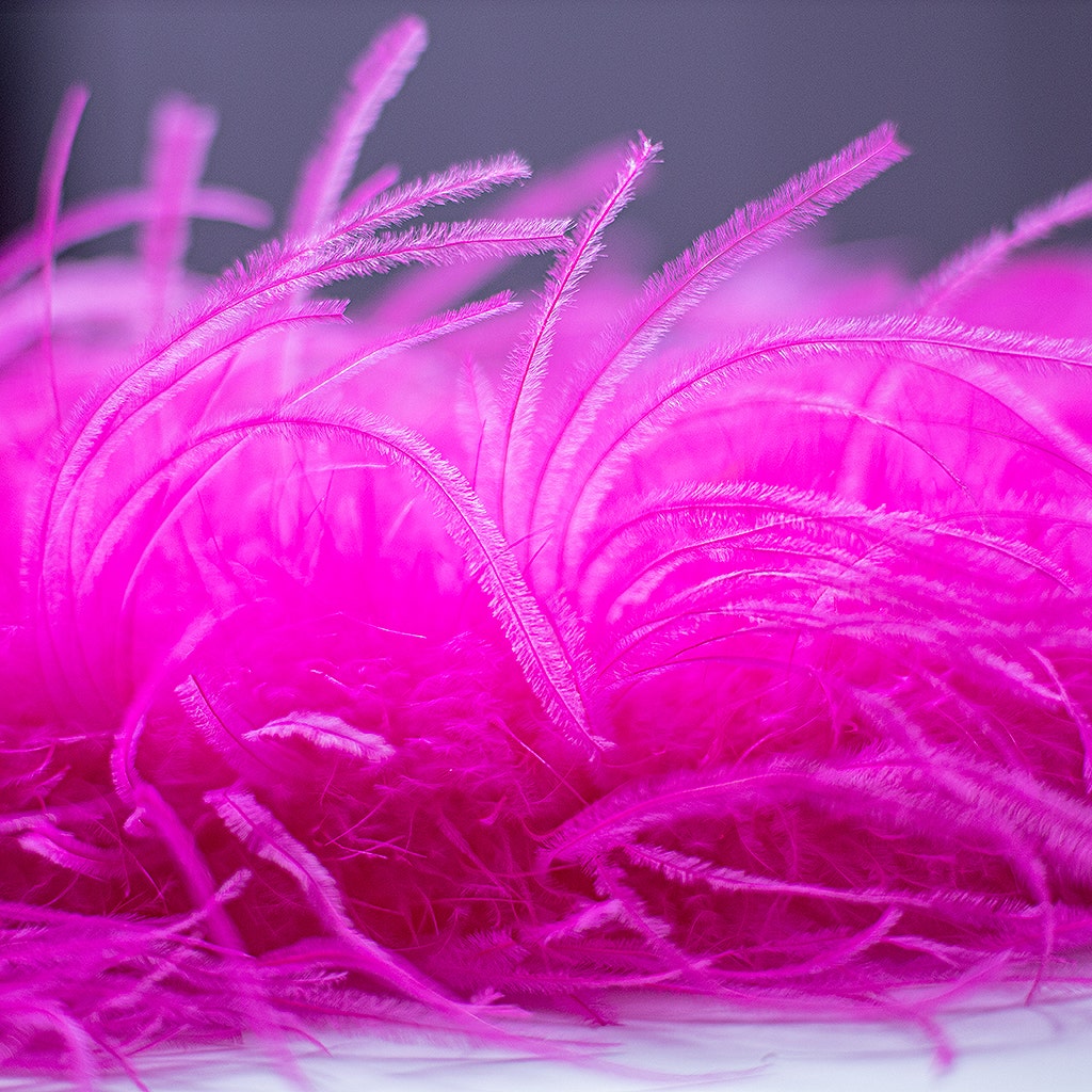 Shocking Hot Pink 2 Ply Ostrich Feather Boa