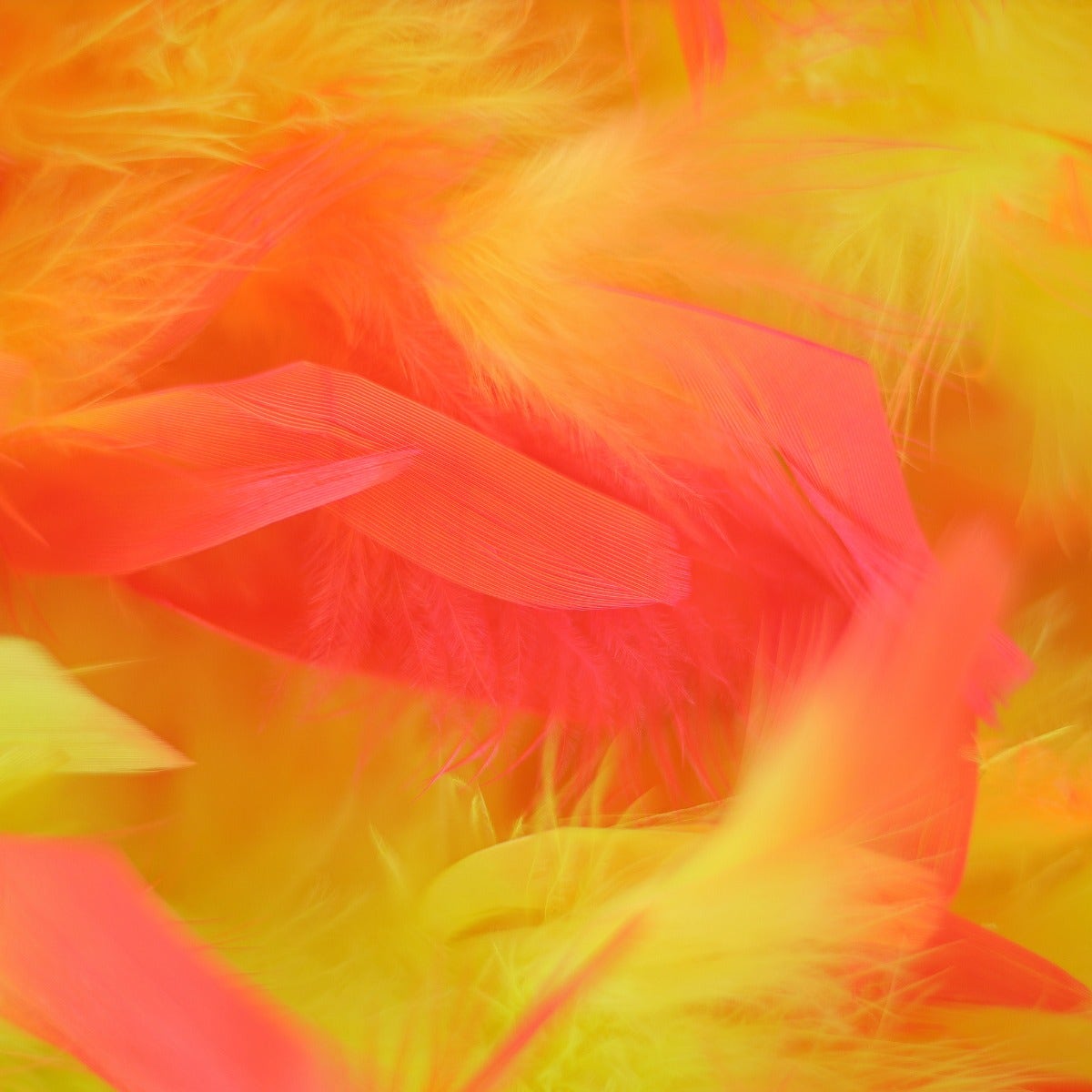 Chandelle Feather Boa - Medium Weight - Tipped - Fluorescent Yellow/Shocking Pink