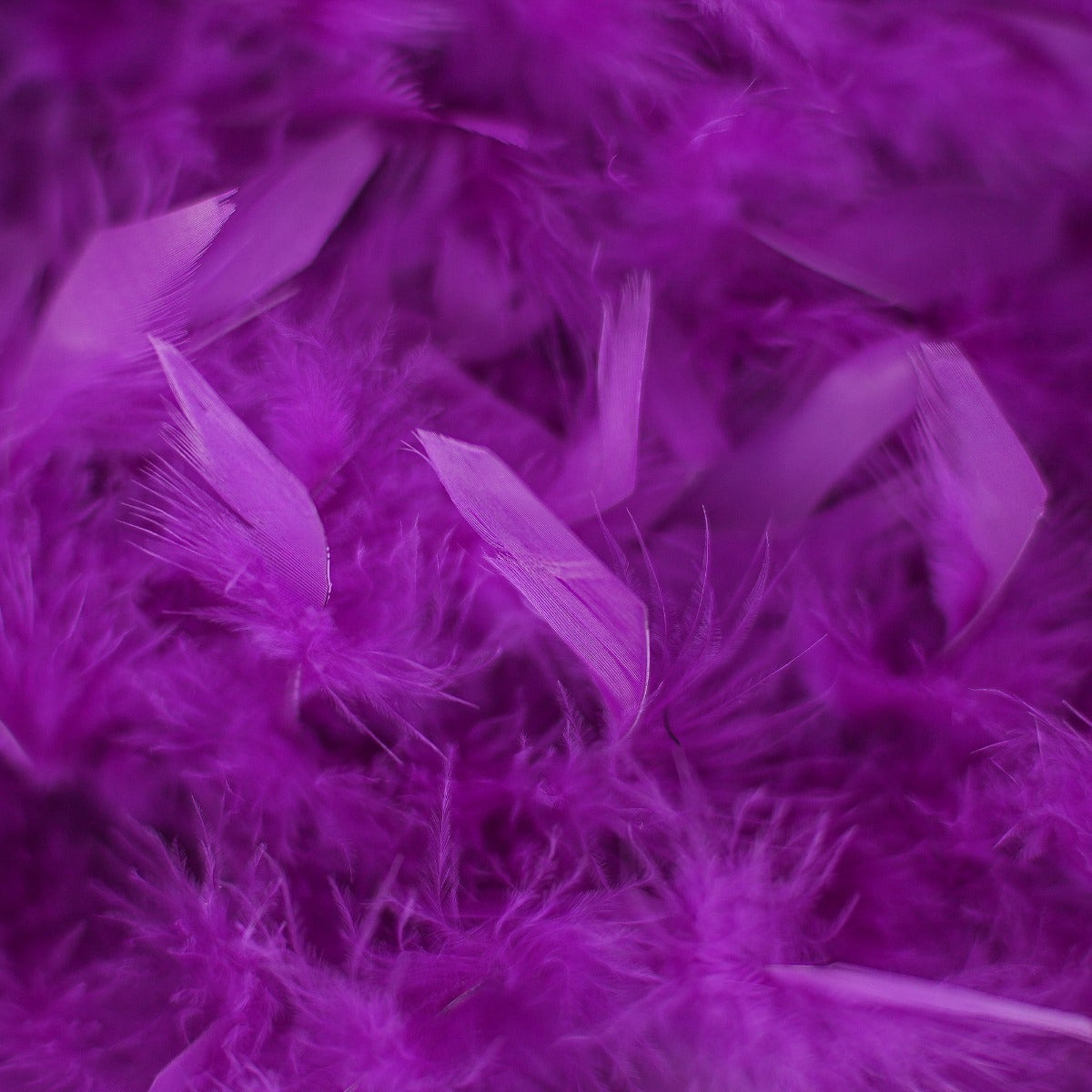 Chandelle Feather Boa - Medium Weight - Purple