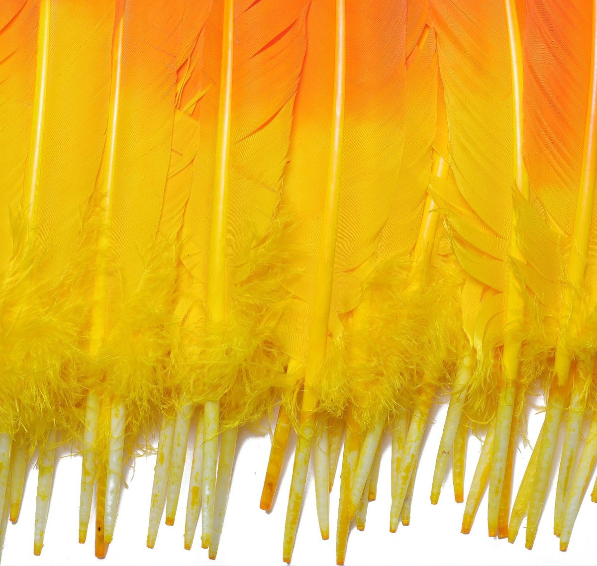 Bulk Two Tone Ombre Tipped Turkey Round Feathers Left Wing - 10-12” - 1/4 lb - Gold Orange