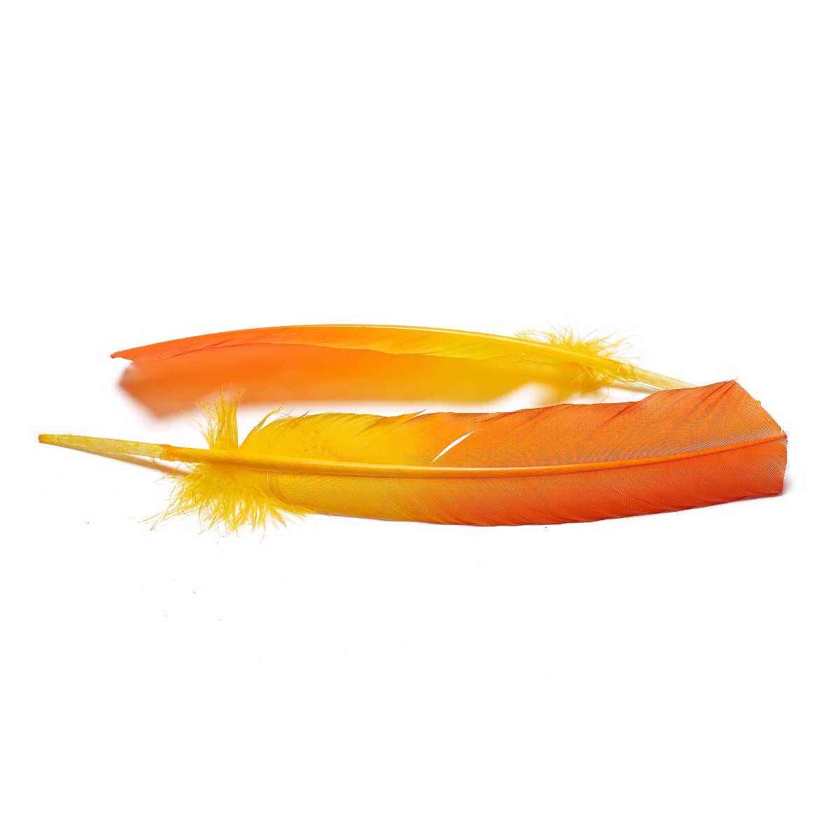 Bulk Two Tone Ombre Tipped Turkey Round Feathers Left Wing - 10-12” - 1/4 lb - Gold Orange