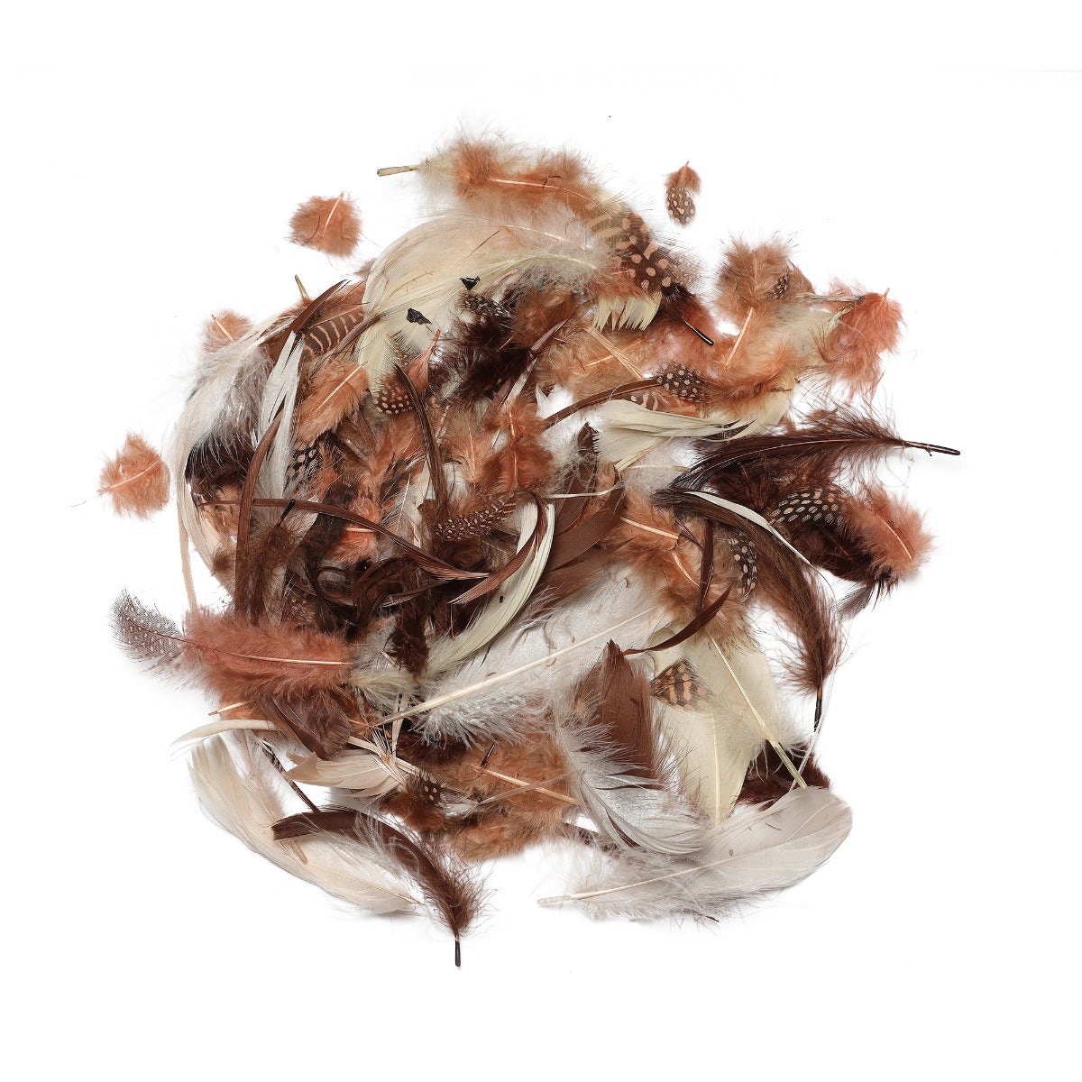 Spice Feather Mix - Spice Mix
