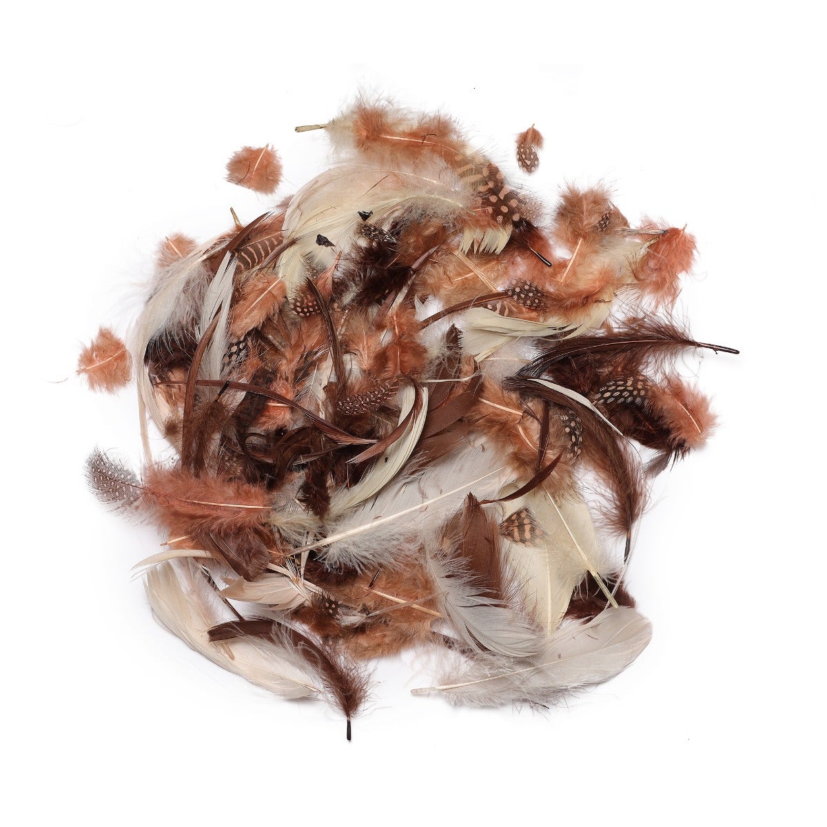 Spice Feather Mix - Spice Mix
