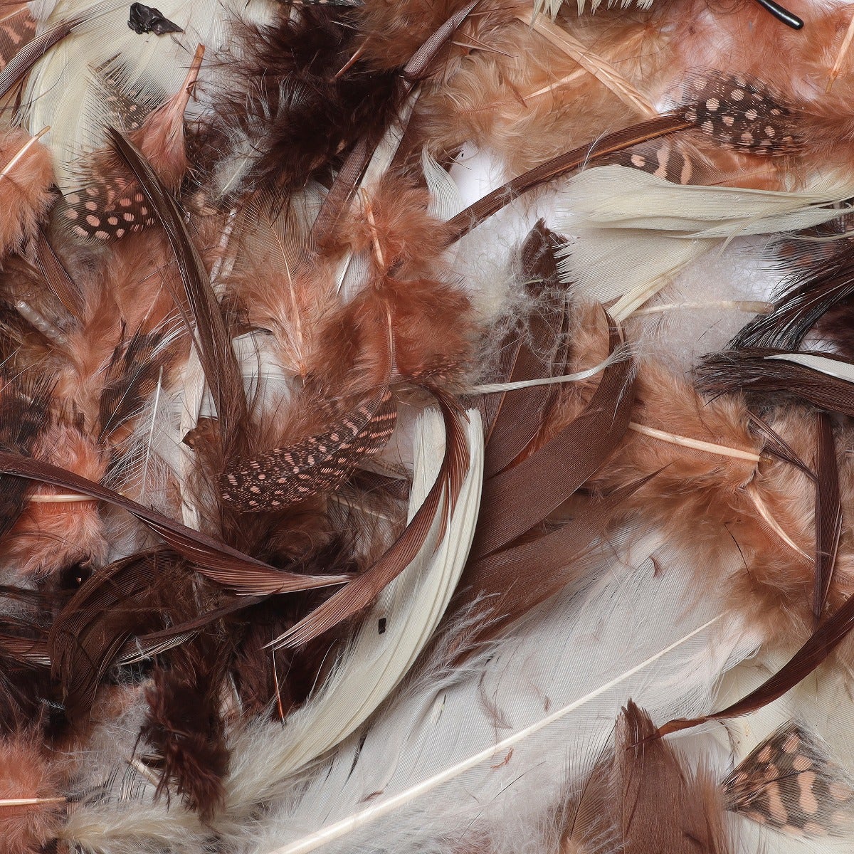 Spice Feather Mix - Spice Mix