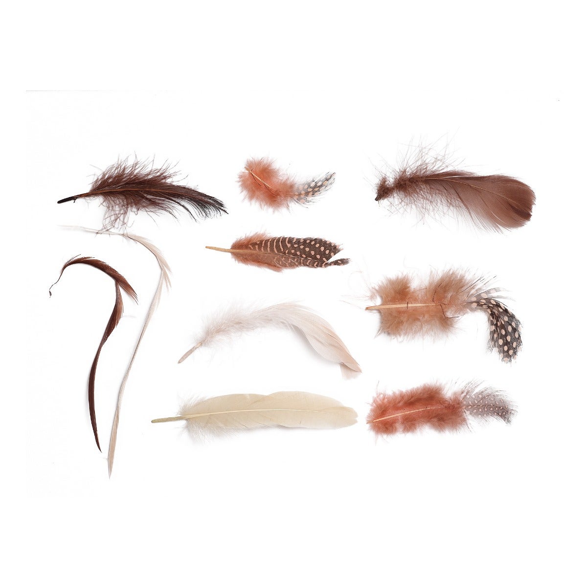 Spice Feather Mix - Spice Mix