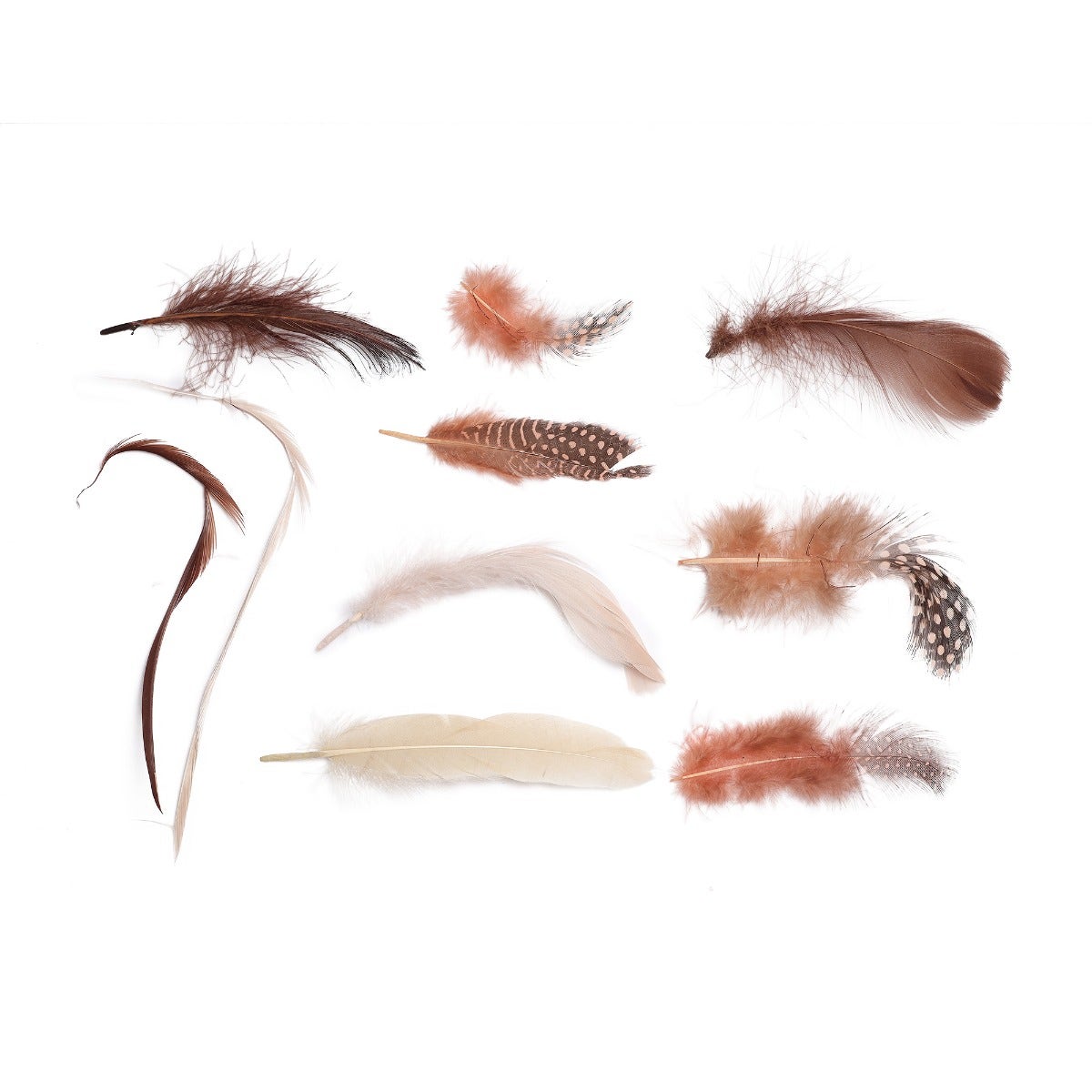 Spice Feather Mix - Spice Mix