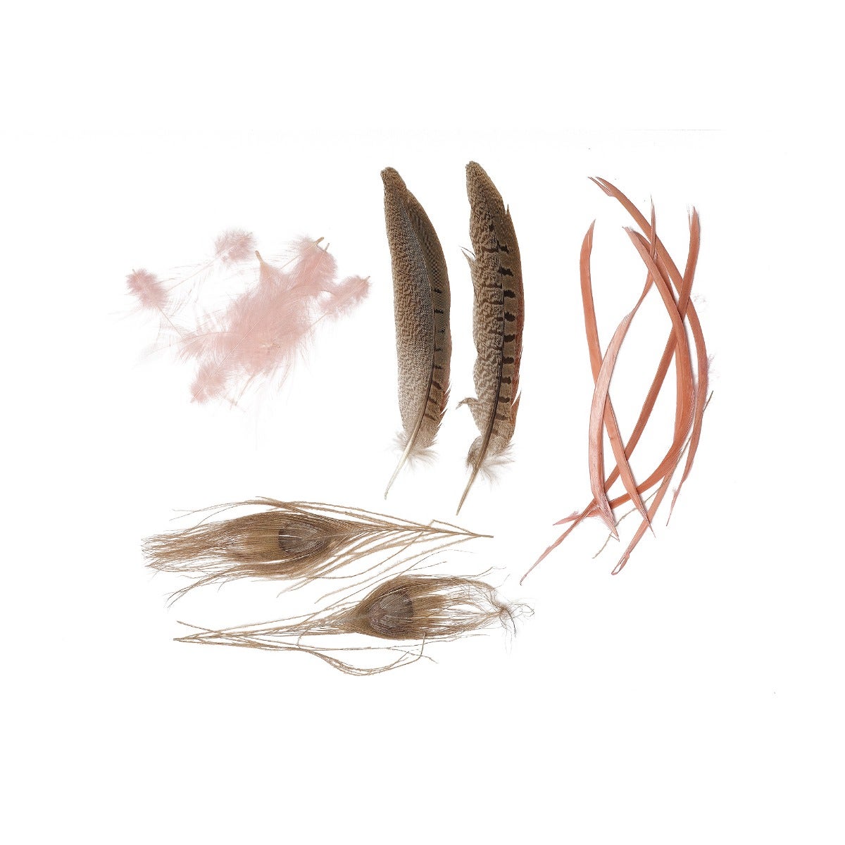 Peacock - Pheasant - Goose Mix - CHP - GIRD - N