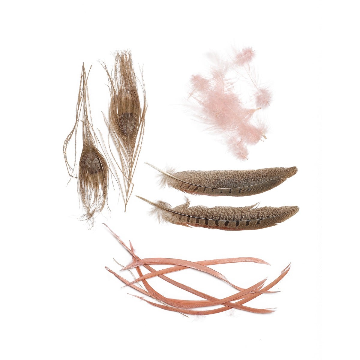 Peacock - Pheasant - Goose Mix - CHP - GIRD - N