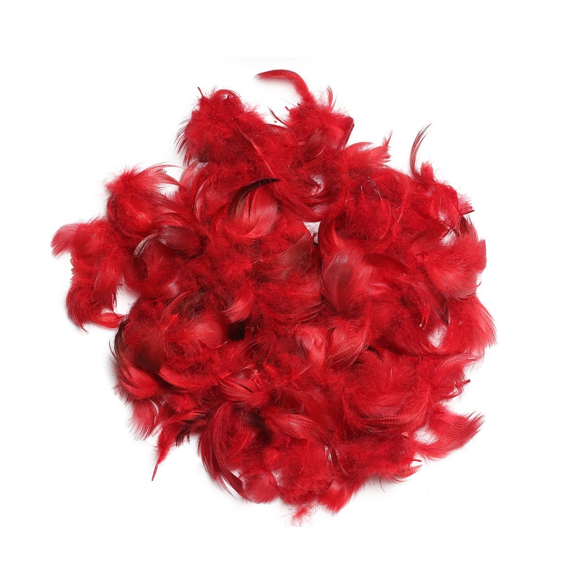 Duck Plumage Mallard Feathers - Red