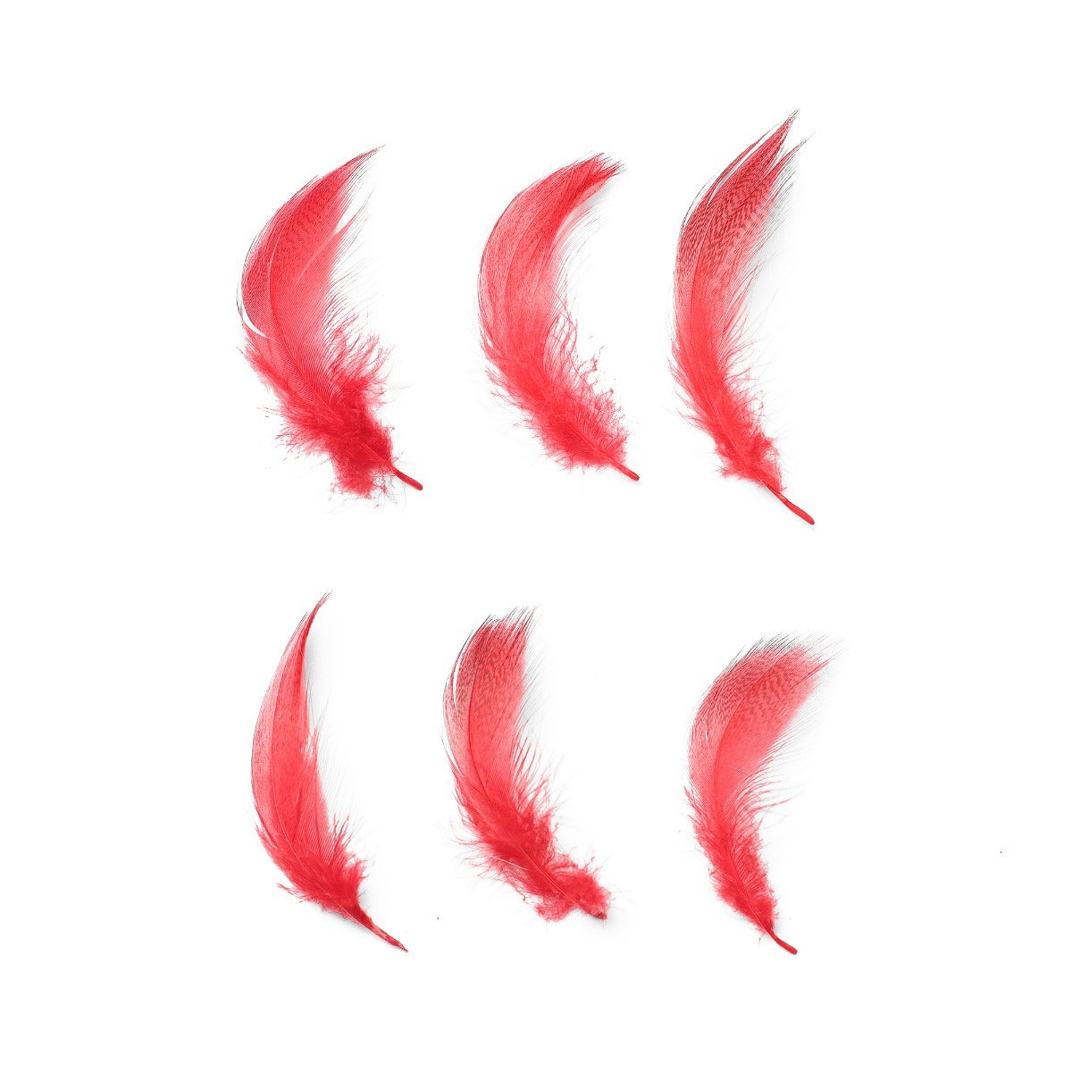 Duck Plumage Mallard Feathers - Red