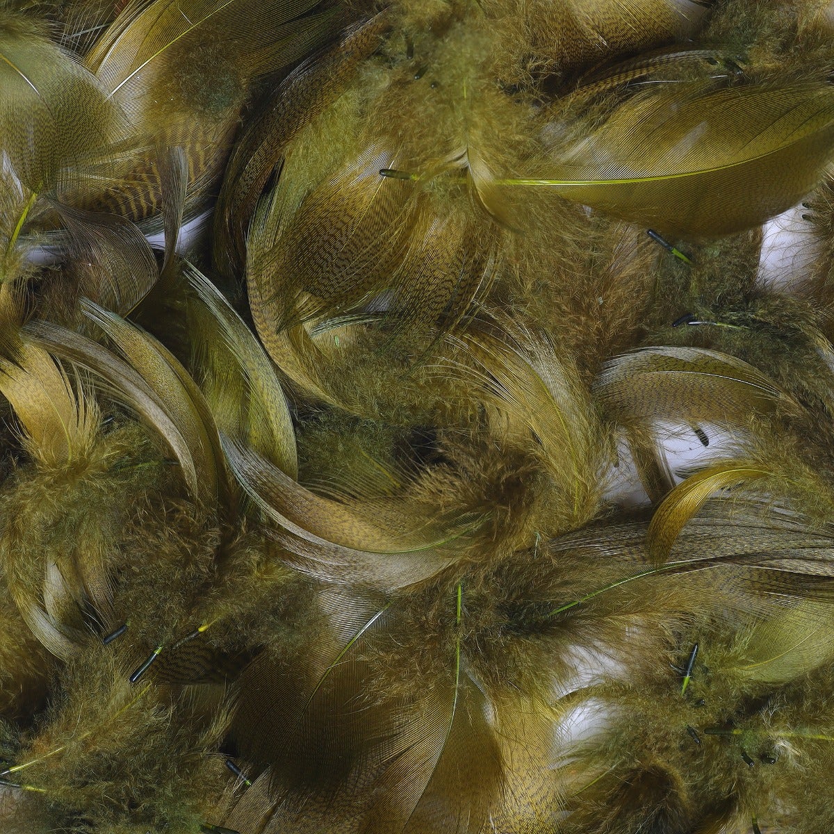 Duck Plumage Mallard Feathers - Olive